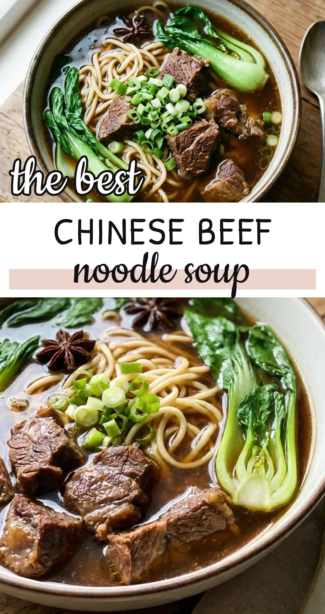 Chinese Beef Noodle Soup with Bok Choy and Tender Beef