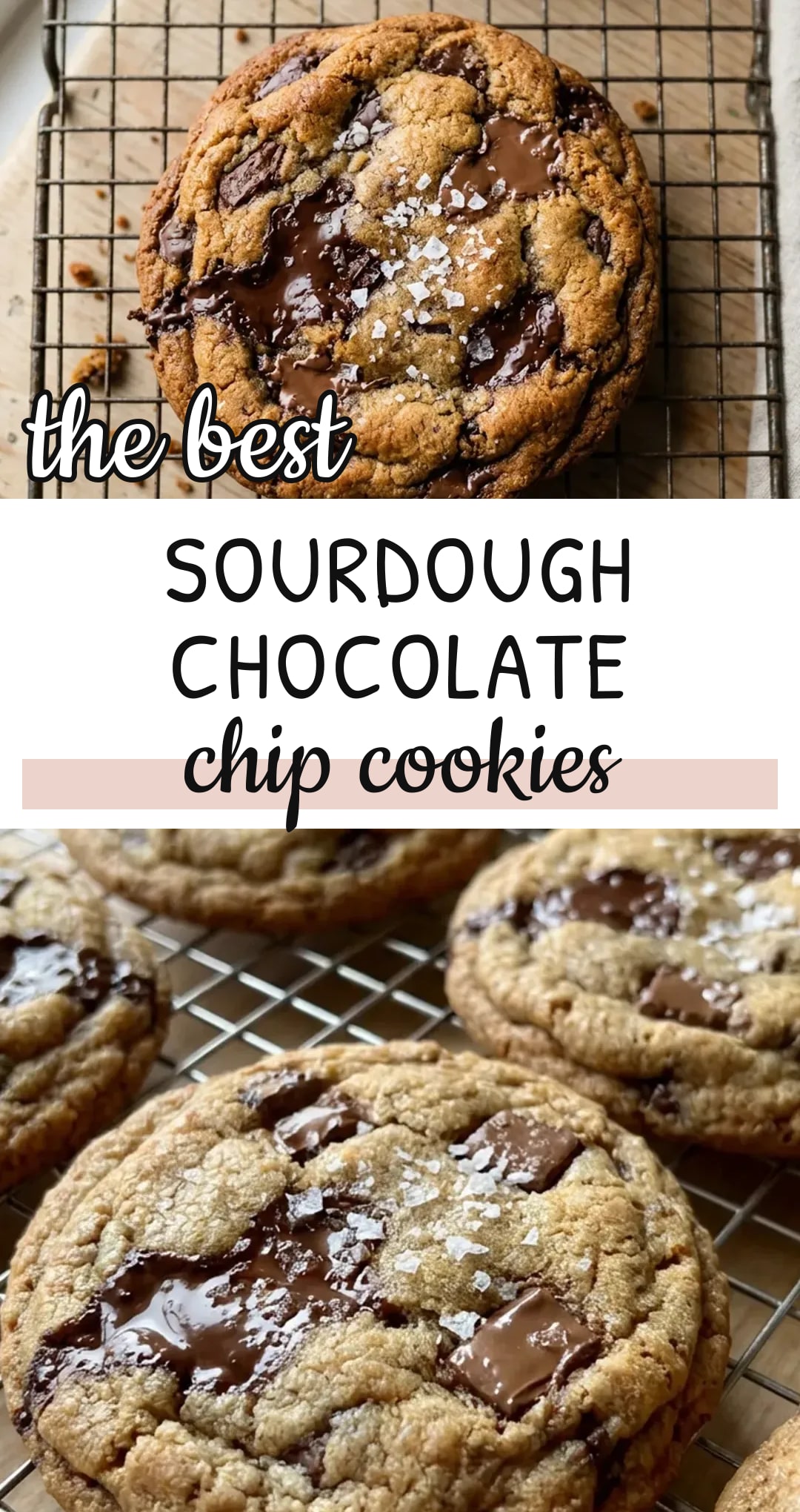 Sourdough Chocolate Chip Cookies Recipe